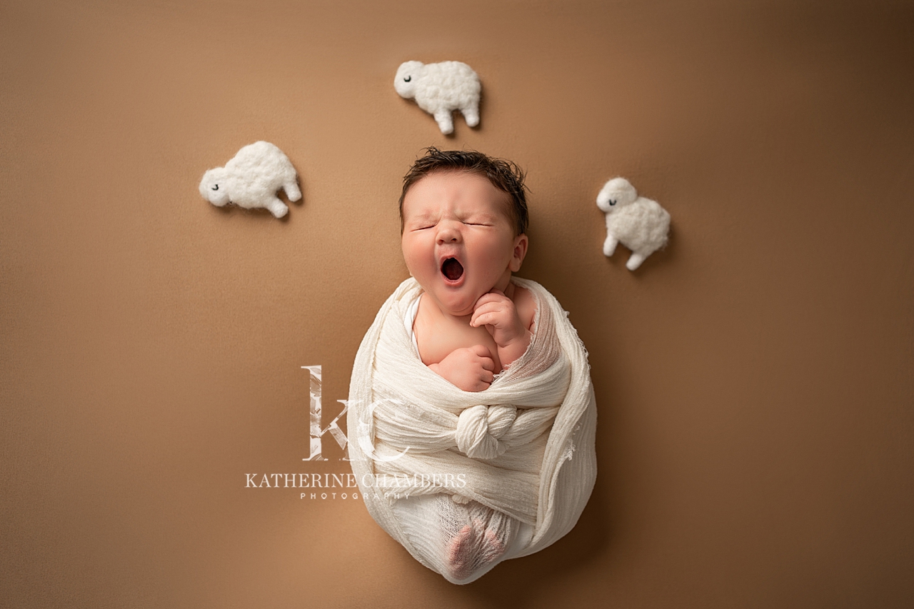 Newborn Baby Boy Photo Shoot