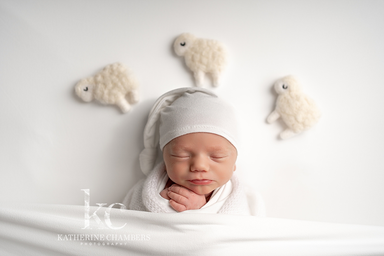 Cleveland Baby Photographer | Avon Newborn Photography Studio