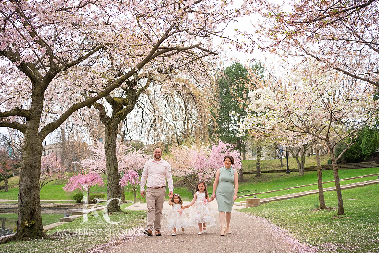 Cleveland Museum of Art Cherry Blossoms | Cleveland Cherry Blossom Photographer