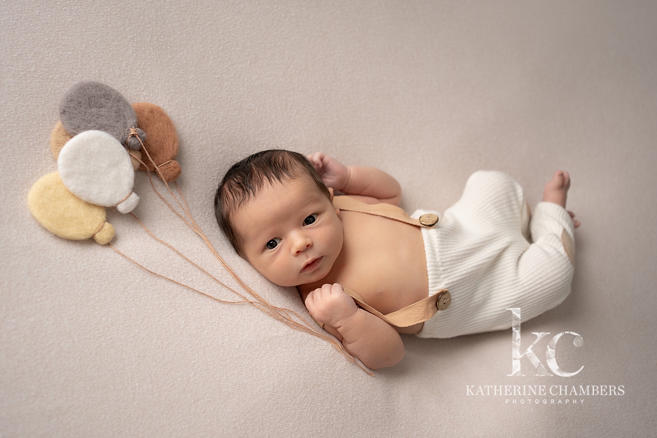 Lakewood Ohio Newborn Photographer