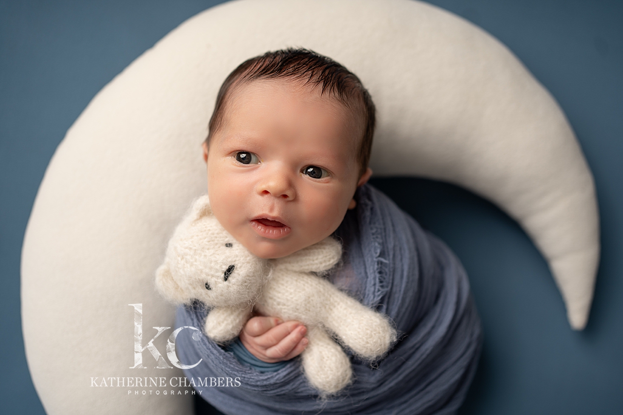 Family Photographers Cleveland Ohio