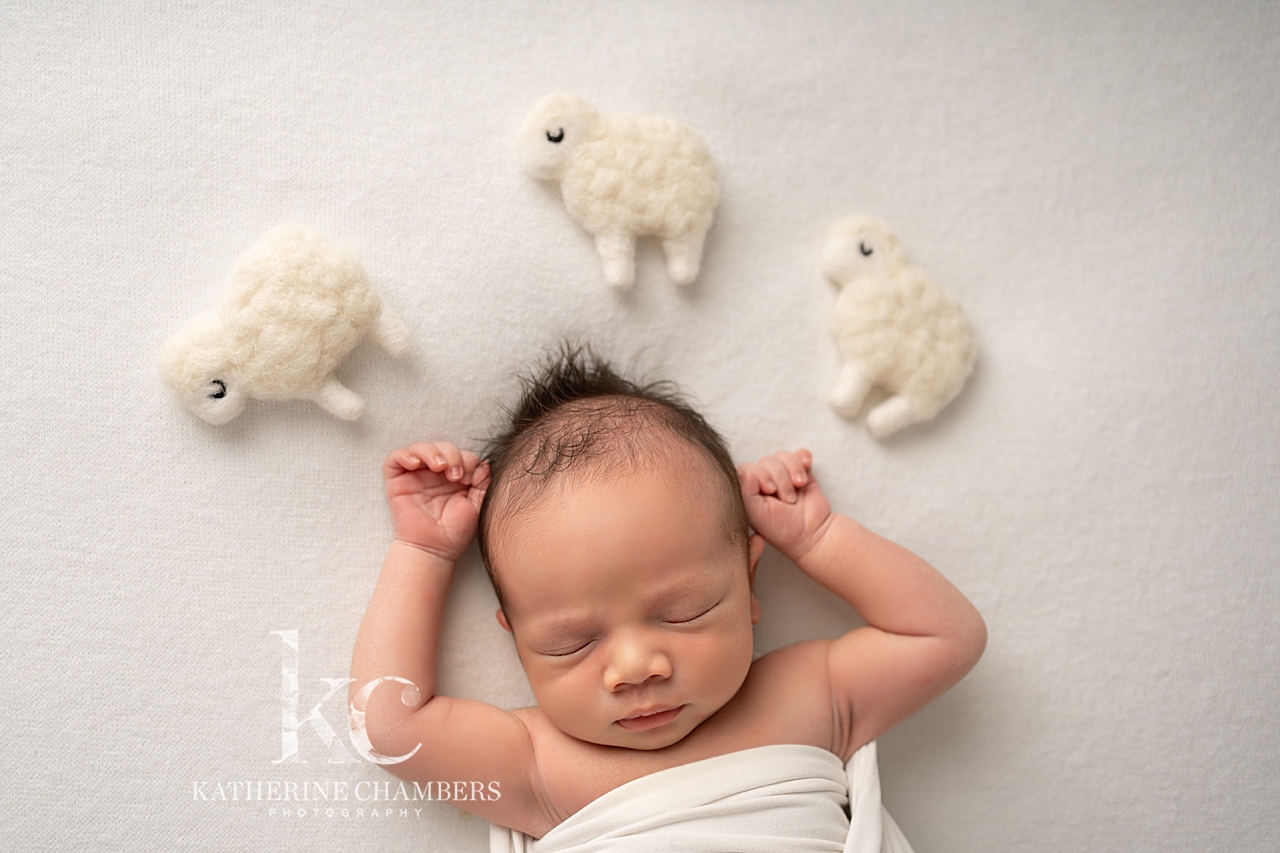 Studio Newborn Photo Session