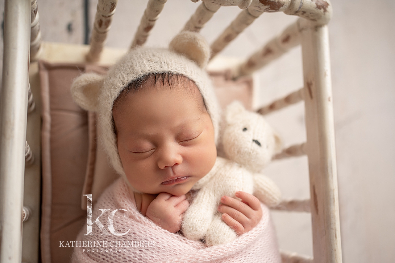 Baby Bear Baby Photo