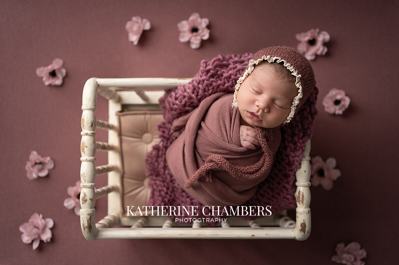 Cleveland Newborn Photographer