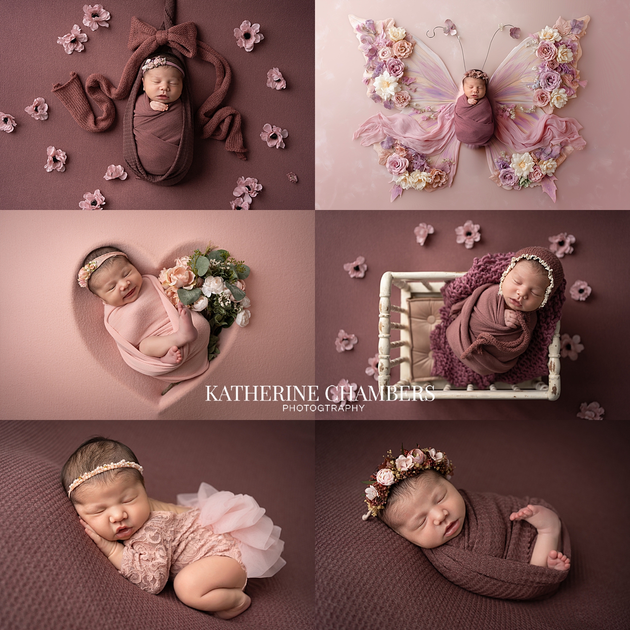 Cleveland Newborn Studio Portraits