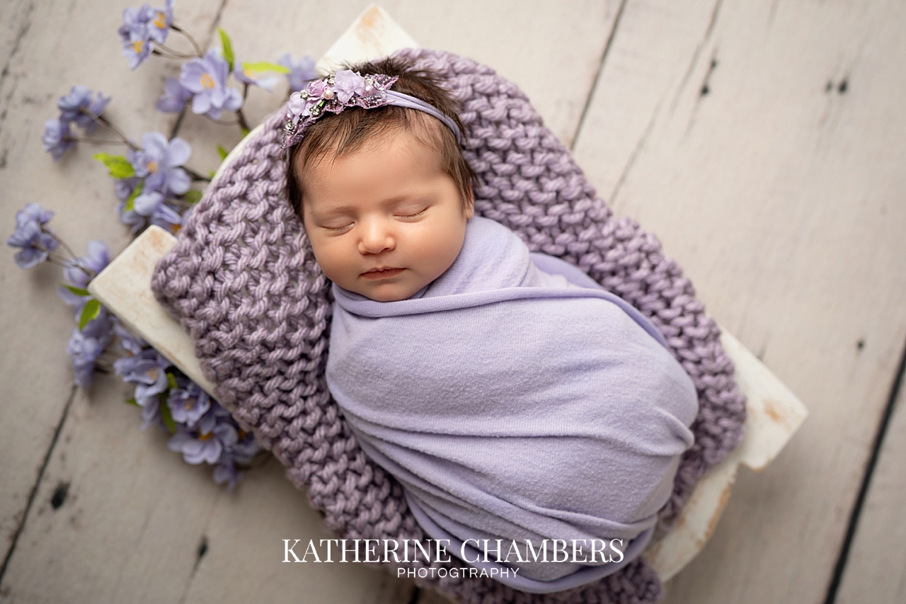 Lily in beautiful purple colors for her newborn session